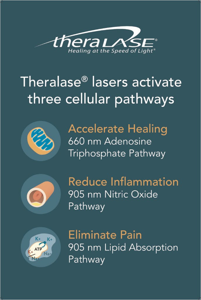 poster 24x36in cellularpathways 2017oct pdf 688x1024 1